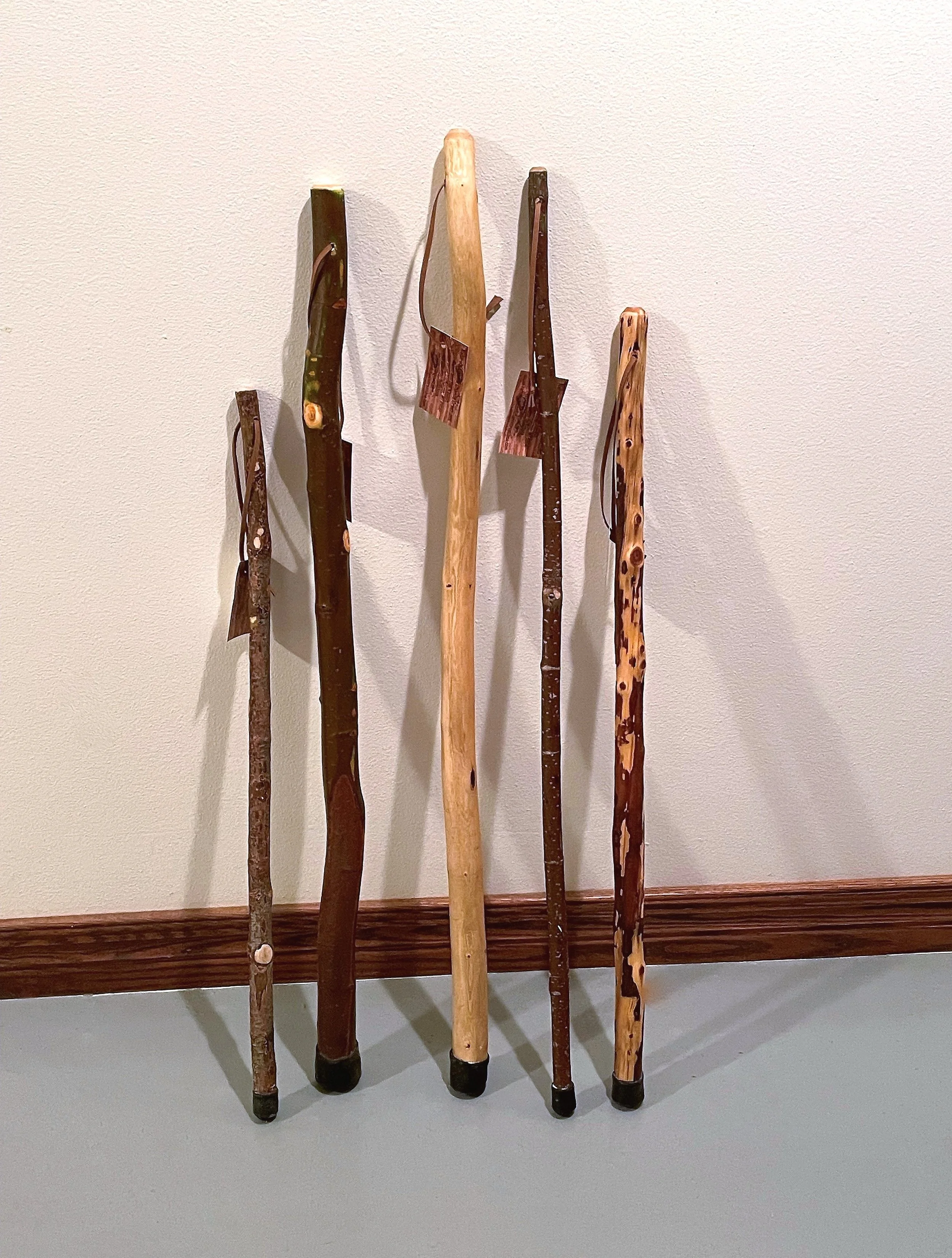 Cool hiking best sale sticks